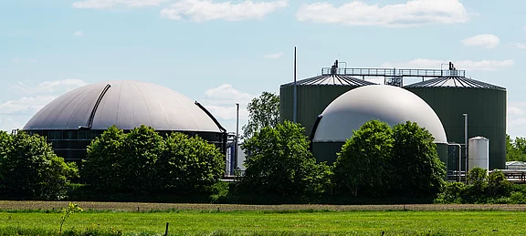 Laser distance sensor for extreme conditions